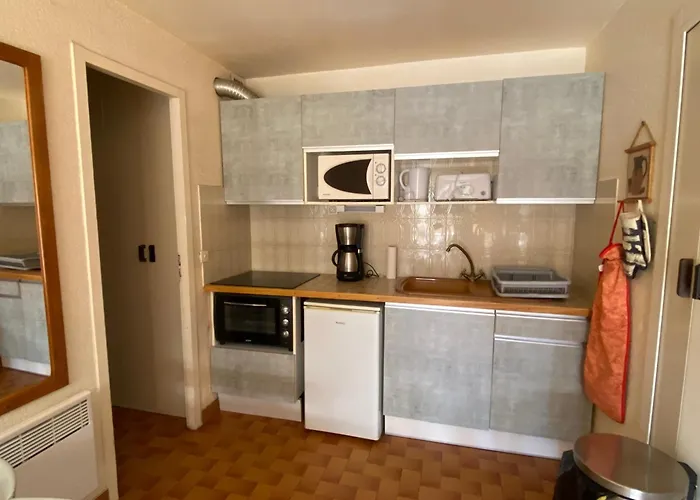 Spacieux T3, 6 Pers. Avec Terrasse Et Parking Entre Et Port - Fr-1-798-16 Leucate
